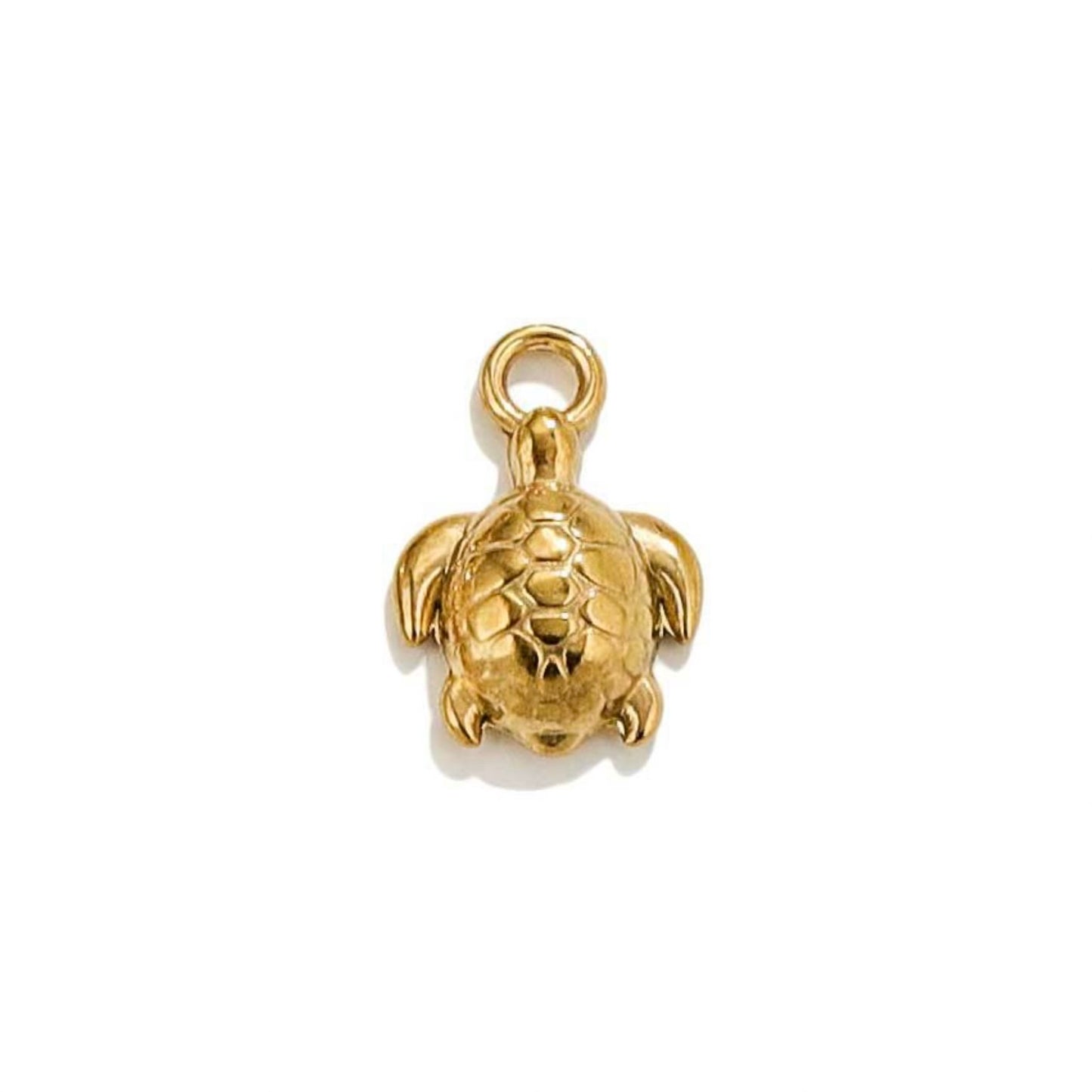 Turtle Charm
