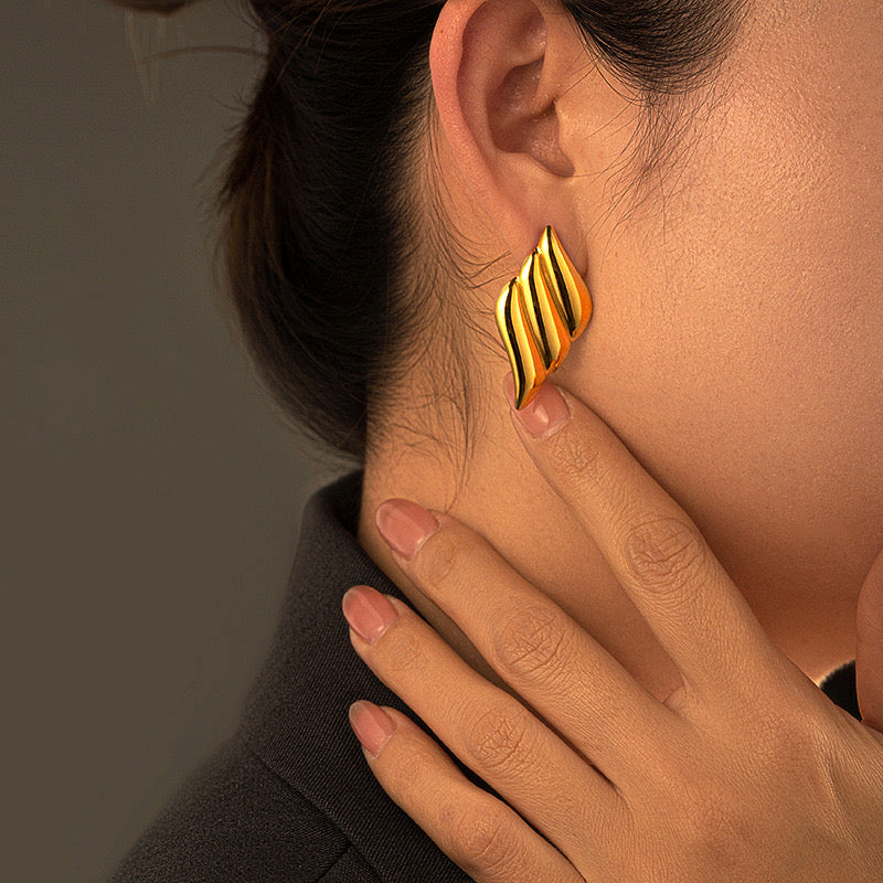 Classic Design Stainless Steel Earrings